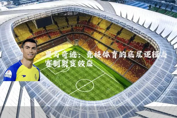 黑马奇迹：竞技体育的底层逻辑与赛制裂变效应