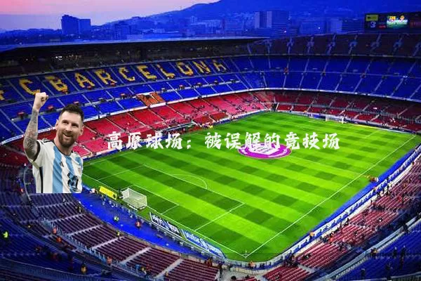 高原球场:被误解的竞技场